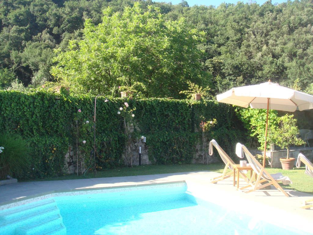 B&B Pieve Degli Artisti Pietrasanta Bagian luar foto