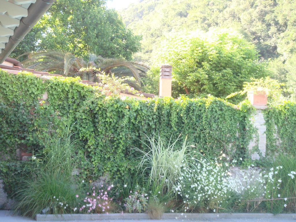 B&B Pieve Degli Artisti Pietrasanta Bagian luar foto